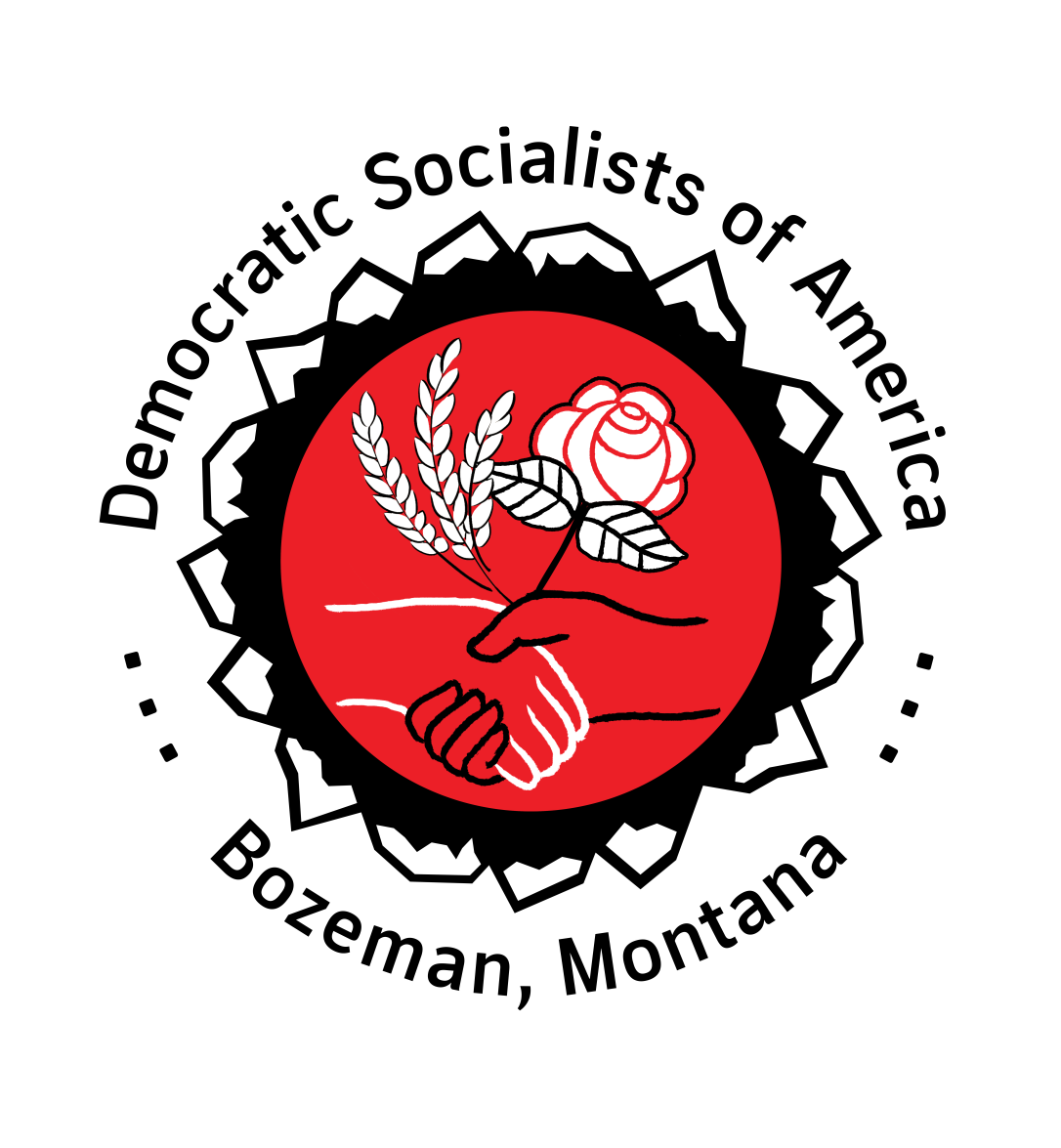 BZN-DSA logo